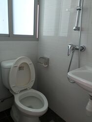 Eight Riversuites (D12), Condominium #536630181
